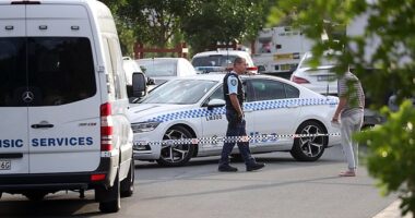 The 17-year-old was arrested after her sister, 10, was found with stab wounds at Boolaroo, in NSW 's Lake Macquarie region, at 3.45pm on Monday
