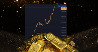 CANARY IN THE COAL MINE: Gold Makes New All Time High (AGAIN) — DO THIS NOW