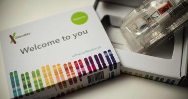 CEO Anne Wojcicki looking to take 23andMe private