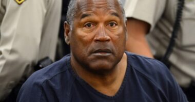 CNN's Allison: O.J. Simpson 'Represented Something for the Black Community' Because Two White People Killed