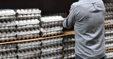 Cal-Maine sells more eggs than ever, and the stock rallies