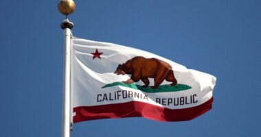 California Lost Track Of $24 Billion?