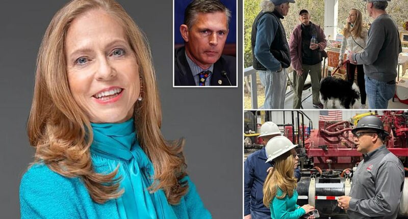 Senate hopeful Nella Domenici shattered a Republican Senate fundraising record in New Mexico with her $1.25 million cash haul in the first three months of the year. Domenici announced her GOP Senate bid to unseat New Mexico Democratic Senator Martin Heinrich on January 17.