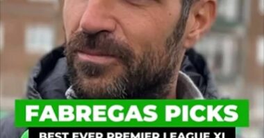 Former footballer Cesc Fabregas has revealed his best Premier League XI (above)