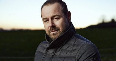 Channel 4 has reportedly axed popular show Scared of the Dark hosted by Danny Dyer after just one series despite its huge success