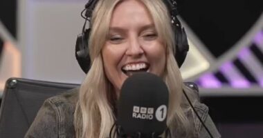 Cheryl 's fans were delighted when her son Bear made his Radio 1 debut at the tender age-of-seven on Friday, with some even spotting he had Geordie accent just like his famous mother  (Perrie Edwards pictured)