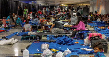 Chicago Alderman: Giving Work Permits to Asylum Seekers Just Means They'll Stay Despite Not Being Allowed to