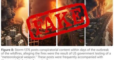 China is using fake social media accounts to sow division and possibly influence the outcome of the U.S. presidential election in its favor.