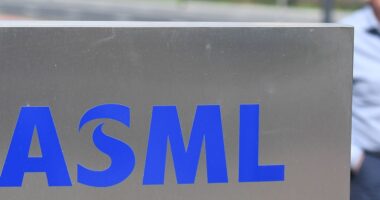 Chip makers are in an arms race and ASML is the arms dealer, hedge fund manager says