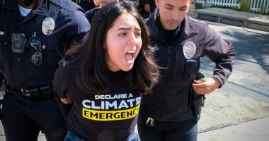 Climate activist protests Kamala Harris outside her home in Brentwood, CA