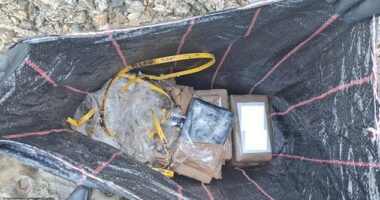 Police believe they have arrested the Australian ringleader behind a botched drug importation that left 'bricks' of cocaine washing up on the eastern coastline