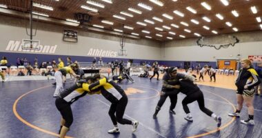 College Athletics Association Bans Trans Women from Competing Against Biological Women – HotAir