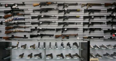 Colorado Semiauto Ban