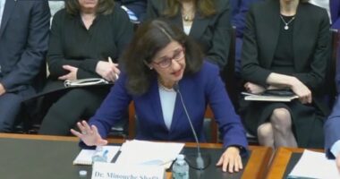 Columbia students insist their university has done nothing about a 'tsunami of antisemitism' on campus after the Hamas attack - just as President Nemat Shafik testifies before the House Education and Workforce Committee