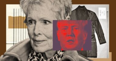 Cops Seize E Jean Carroll's Unregistered Gun After National Pulse Report.