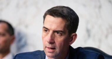 Cotton: Biden Should Revoke Visas of Students Breaking Laws in Anti-Israel Protests