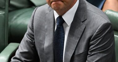 Could this be why Anthony Albanese's government is dropping in popularity? New poll shows two groups are turning away from Labor