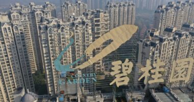 Country Garden shares suspended from Hong Kong stock exchange