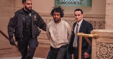 Jose Carlos Zarzuela, 30, was arrested on Saturday after he punched a nine-year-old girl in the face around 11.49am in Grand Central Terminal's dining area, police said