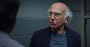 Larry David was saved from serving a year in prison by Jerry Seinfeld on Sunday's series finale of Curb Your Enthusiasm on HBO