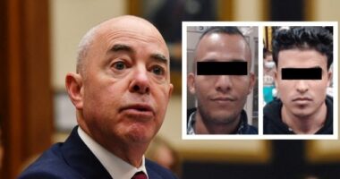 DHS Chief Mayorkas Pressed to Answer How Terrorists Were Reportedly Freed into U.S.