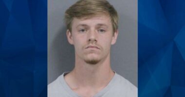 Dillan Michael Tennant