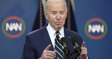 David Frum's FAILED Attempt to Make Biden Look Good for NOT Debating Trump BACKFIRES Hilariously (on Joe)