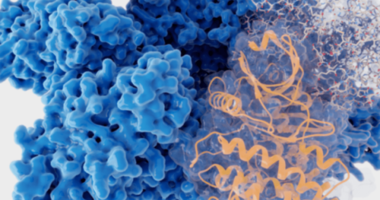 Deciphera to be acquired by Japan’s Ono in all-cash deal valued at $2.4 billion