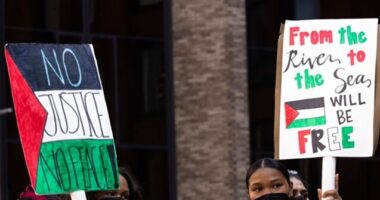 Dem Rep. Manning: College Protests Aren't Pro-Palestinian, They're Anti-Israel and Antisemitic