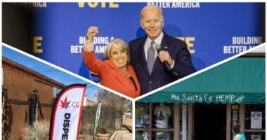 Democrat New Mexico Governor Laments Fed's Seizure of Marijuana in Leaked Audio