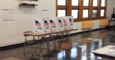 Democrat Voter Registrations Have Decreased In Three Battleground States, Report Says