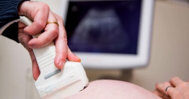 Democrats Descend on Florida Following State Supreme Court Abortion Rulings