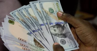 Dollar allocations have become expensive, we are recording losses - Association of Bureau De Change Operators tells CBN