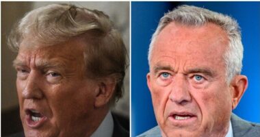 Donald Trump Labels RFK Jr. a Democrat 'Plant' Placed to Help 'Crooked Joe Biden'