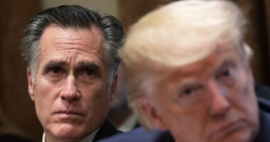 Donald Trump Slams Mitt Romney as 'Total Loser', Endorses Utah Mayor Trent Staggs