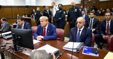 Donald Trump trial LIVE - 'Did he cheat on Melania?' Court hears bombshell text messages National Enquirer editor sent to Karen McDougal's lawyer during deal over her 'affair' story