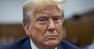 Donald Trump trial LIVE: Prosecutors start questioning David Pecker about Stormy Daniels