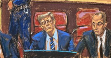 Donald Trump trial RECAP: Seventh juror is selected after dismisses candidates for saying 'lock him up' about Donald on social media