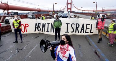 Don't Tease: Glimmer of San Fran Sanity