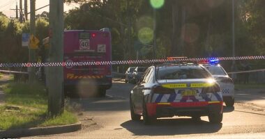 A teenage boy has been stabbed to death and another is in a serious condition after a knife attack near a school in Sydney 's west on Friday