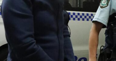Mohamad Alameddine (pictured) was arrested after cops found wads of cash and a mobile phone concealed in fire extinguisher cupboards