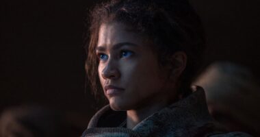 Dune Part Two Digital and Streaming Release Date and Viewing Platforms