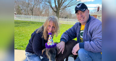 Elderly Dog Adopted After 11 Years in Alabama Shelter