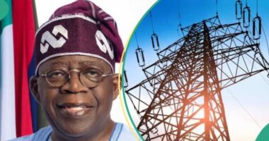 Electricity tariff hike capable of hurting us in next election - APC member begs Tinubu to intervene and reverse electricity tariffs