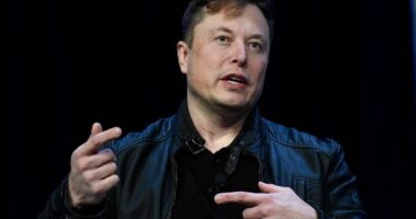 Elon Musk Weighs In On The “Praying Grandmother” Convicted By DC Court