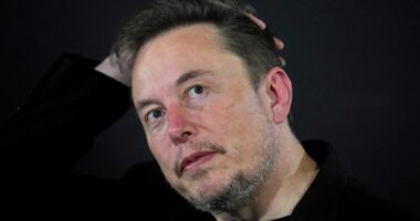 Elon Musk says Tesla will reveal a ‘robotaxi’ in August