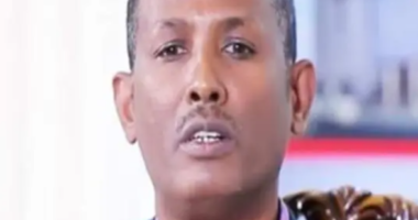 Ethiopian opposition figure Bate Urgessa shot dead
