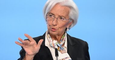 European Central Bank to stand pat but faster-than-the-Fed rate cuts may hit euro