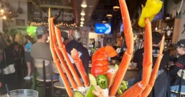 Now that's a feast! One diner looking to quench their thirst with a Bloody Mary was shocked to be offered a full meal on top of their tipple