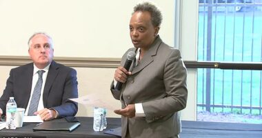 Chicago Mayor Lori Lightfoot may have a new job very soon, as she's been hired by the nearby village of Dolton, Illinois to investigator their mayor, whom many have called 'America's worst'